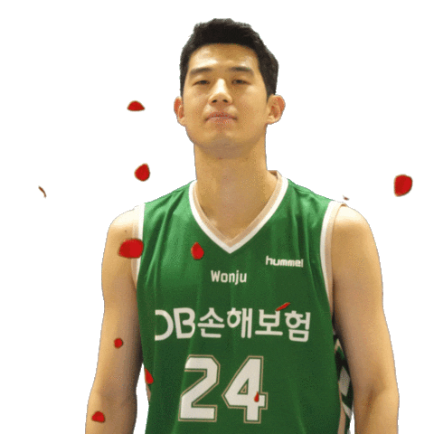 원주Db Sticker by dbpromy