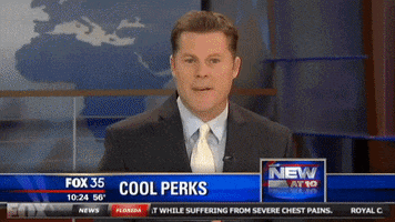 staffingnerd travel beer florida jobs GIF