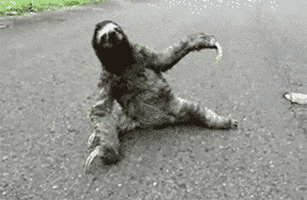 sloth hard partying restraint