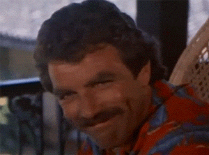 giphy.gif?cid=6c09b952bw8o650q2om39d53ccheq48fqyr9lj8ro077n46x&ep=v1_gifs_search&rid=giphy.gif&ct=g