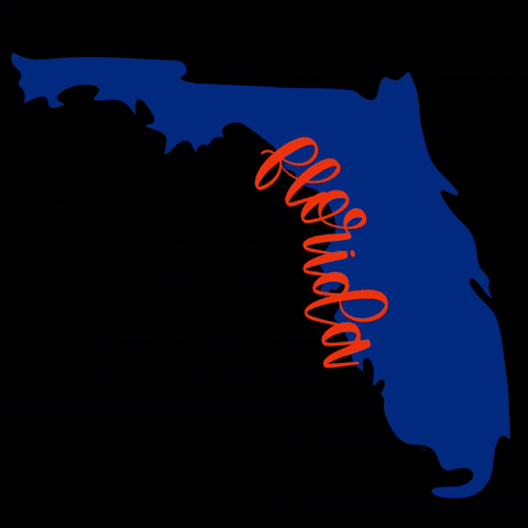 Florida Gators Football GIF