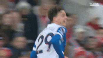 Football Brighton GIF