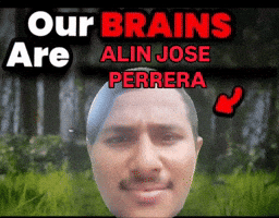 Brain Idiot GIF