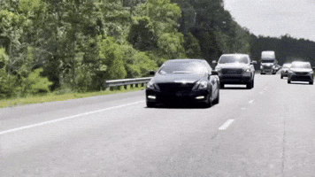 Tsz GIF