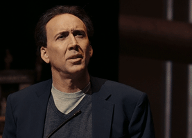 Nicolas Cage Bullshit GIF