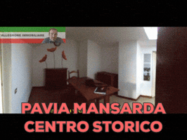 lucaallegrone  GIF
