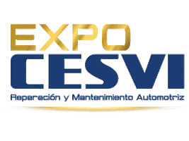 cesvimexico Sticker