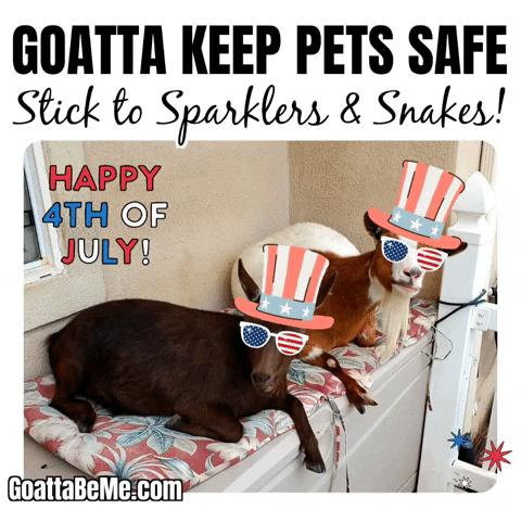 Celebrate Independence Day GIF by Goatta Be Me Goats! Adventures of Pumpkin, Cookie and Java!