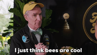 I Just Think Bees Are Cool