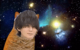 Space Cat GIF
