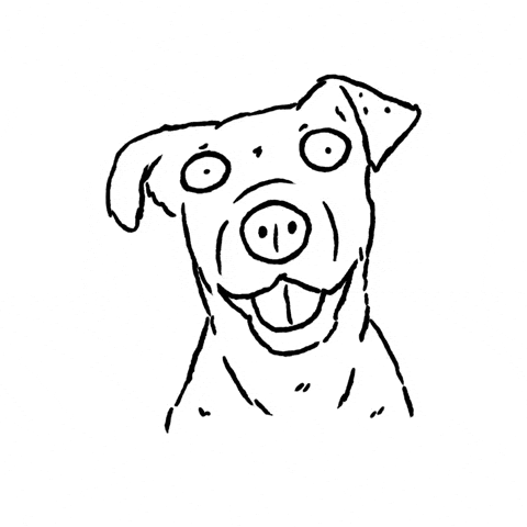 Shocked Dog GIF by butpoorlydrawn