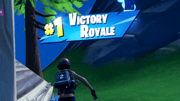 Epic Games Win GIF