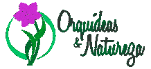 Orquídeas & Natureza Sticker