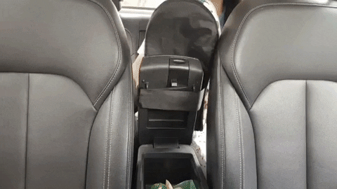 PetBooh™ Premium Dog Safety Car Seat