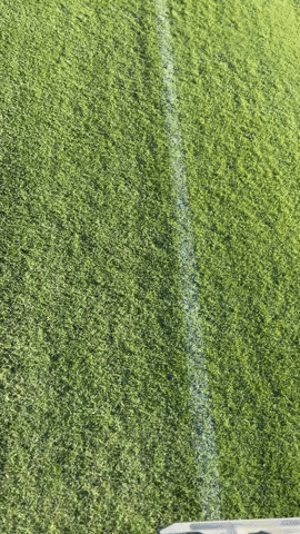 Autonomowus Lawn Company GIF