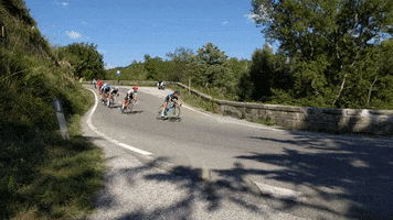 Cycling GIF
