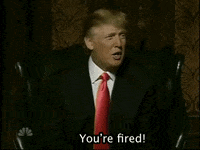you are fired donald trump
