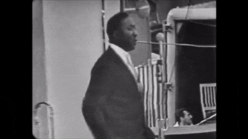 newport GIF by Muddy Waters