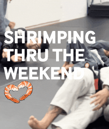 Leap Jiu Jitsu GIF