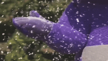 Snow Day Hello GIF by Teletubbies