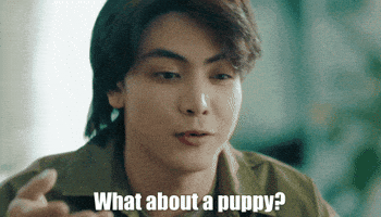 Puppy Smile GIF
