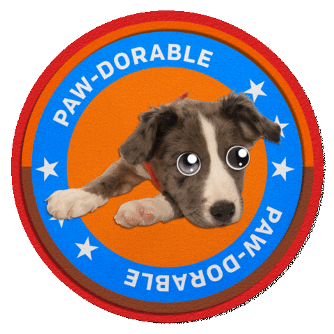 Football Dog Sticker by Puppy Bowl