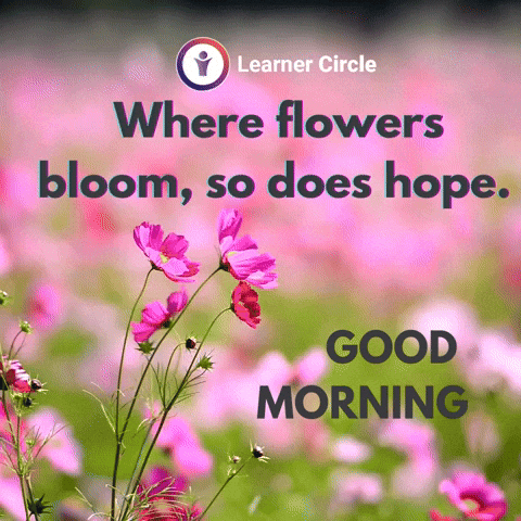 good morning flowers gif