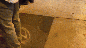 Fail Funny San Francisco GIF