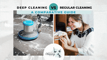 Cleaning Services GIF