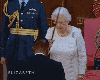 KNIGHTED meme gif