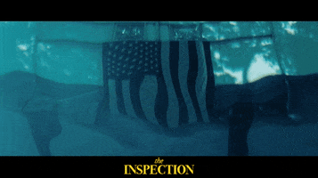 Stars And Stripes Water GIF by Signature Entertainment