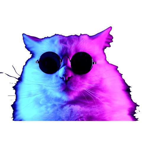 Cat Sticker by APG Austrian Power Grid
