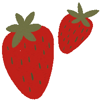 Food Fruit Sticker