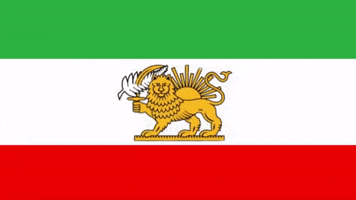 Fifa World Cup Iran GIF