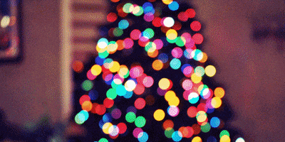Christmas December GIF