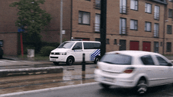 Police Belgium GIF by Moments of Colour