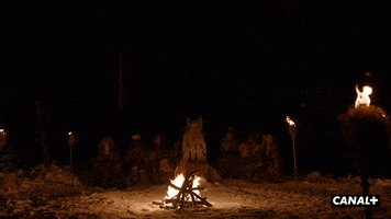 Scared Fire GIF by CANAL+