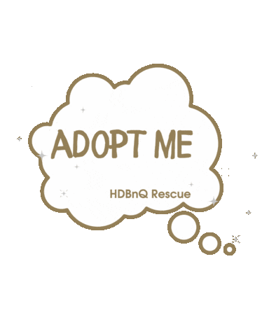 Take Me Home Sticker by HDBnQ Rescue