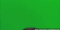 giphy.gif