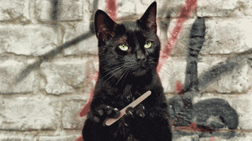 TV gif. Salem the cat from Sabrina the Teenage Witch files his nails with a nail file, looking bored to death.