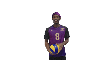 Volleyball Gopanthers Sticker by University of Brighton