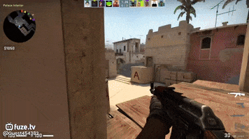 Csgo GIF