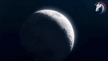 Moon Cryptocurrency GIF by 1inch