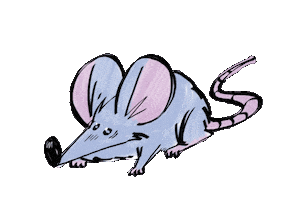 Mouse Rat Sticker