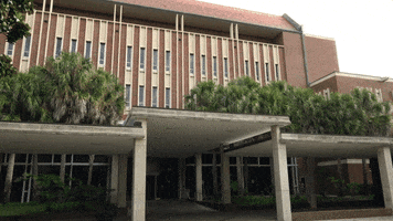 Water Uf GIF by George A. Smathers Libraries at the University of Florida