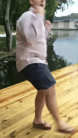 Nc State GIF