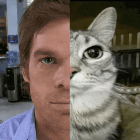 Dexter GIF