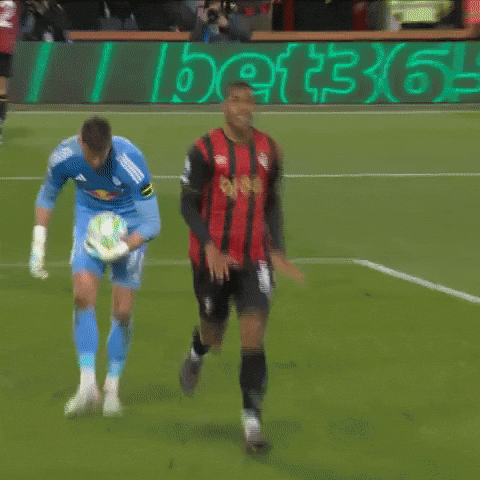 Celebrating Premier League GIF by AFC Bournemouth