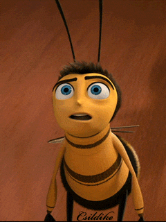 Why do bees have such sticky hair?