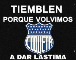 Liga De Quito Ldu GIF